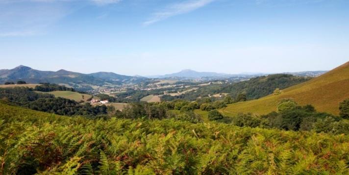 Отель Le Domaine Du Levant Камбо-ле-Бен Экстерьер фото